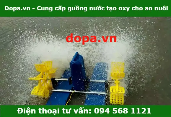 Máy Tạo Oxy Cho Hồ Cá: Hướng Dẫn Toàn Tập Từ A-z