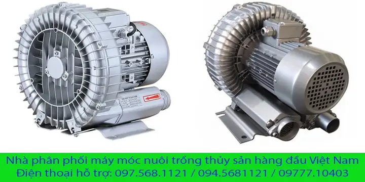 Máy Tạo Oxy Cho Hồ Cá Máy Tạo Oxy Cho Hồ Cá