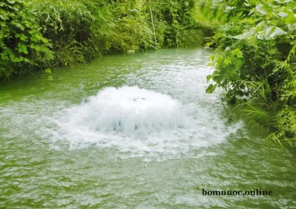 Máy Sục Khí Tạo Sóng