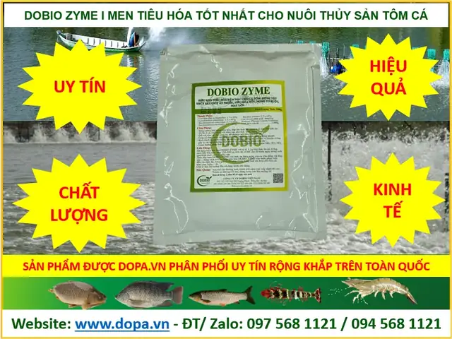 Bà Con Đang Tìm Loạimen Tiêu Hóacao Cấp Chất Lượng Tốt Hiệu Quả Nhất Cho Thủy Sản Cá Tôm Thẻ Chân Trắng, Tôm Sú, Ốc Nhồi, Ốc Bưu Đen, Ba Ba, Cua... Thìdobio Zymelà Giải Pháp Câu Trả Lời Tốt Nhất Cho Bà Con.dobio Zyme Siêumen Tiêu Hóađậm Đặc Cho Cá Tôm Động Vật Thủy Sản Giúp Ăn Nhiều, Tiêu Hóa Tốt, Nong To Ruột, Mau Lớn.dobio Zymelàmen Tiêu Hóasiêu Đậm Đặc Cho Cá Tôm, Động Vật Thủy Sản Giúp Ăn Nhiều, Tiêu Hóa Tốt, Nong To Ruột, Mau Lớn. Cho Nuôi Cá Tôm Cua Ếch, Ốc, Ba Bathủy Sản. Sản Phẩmdobio Zymelà Sản Phẩm Men Tiêu Hóa, Chế Phẩm Men Vi Sinh Chất Lượng Hiệu Quả Tốt Nhất Được Công Tydobio.vnnghiên Cứu, Phát Triển Được Công Tydopa.vncó Địa Chỉ Website:www.thuysandopa.vnphân Phối, Bán Cung Cấp Trên Toàn Quốc Như Tại: An Giang, Bà Rịa - Vũng Tàu, Bắc Giang, Bắc Kạn, Bạc Liêu, Bắc Ninh, Bến Tre, Bình Định, Bình Dương, Bình Phước, Bình Thuận, Cà Mau, Cao Bằng, Đắk Lắk, Đắk Nông, Điện Biên, Đồng Nai, Đồng Tháp, Gia Lai, Hà Giang, Hà Nam, Hà Tĩnh, Hải Dương, Hậu Giang, Hòa Bình, Hưng Yên, Khánh Hòa, Kiên Giang, Kon Tum, Lai Châu, Lâm Đồng, Lạng Sơn, Lào Cai, Long An, Nam Định, Nghệ An, Ninh Bình, Ninh Thuận, Phú Thọ, Quảng Bình, Quảng Nam, Quảng Ngãi, Quảng Ninh, Quảng Trị, Sóc Trăng, Sơn La, Tây Ninh, Thái Bình, Thái Nguyên, Thanh Hóa, Huế, Tiền Giang, Trà Vinh, Tuyên Quang, Vĩnh Long, Vĩnh Phúc, Yên Bái, Phú Yên, Cần Thơ, Đà Nẵng, Hải Phòng, Hà Tây, Hà Nội, Tp Hcm.