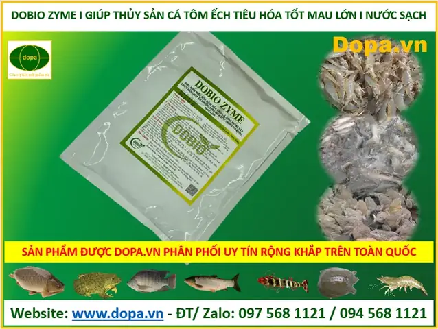 Bà Con Đang Tìm Loạimen Tiêu Hóacao Cấp Chất Lượng Tốt Hiệu Quả Nhất Cho Thủy Sản Cá Tôm Thẻ Chân Trắng, Tôm Sú, Ốc Nhồi, Ốc Bưu Đen, Ba Ba, Cua... Thìdobio Zymelà Giải Pháp Câu Trả Lời Tốt Nhất Cho Bà Con.dobio Zyme Siêumen Tiêu Hóađậm Đặc Cho Cá Tôm Động Vật Thủy Sản Giúp Ăn Nhiều, Tiêu Hóa Tốt, Nong To Ruột, Mau Lớn.dobio Zymelàmen Tiêu Hóasiêu Đậm Đặc Cho Cá Tôm, Động Vật Thủy Sản Giúp Ăn Nhiều, Tiêu Hóa Tốt, Nong To Ruột, Mau Lớn. Cho Nuôi Cá Tôm Cua Ếch, Ốc, Ba Bathủy Sản. Sản Phẩmdobio Zymelà Sản Phẩm Men Tiêu Hóa, Chế Phẩm Men Vi Sinh Chất Lượng Hiệu Quả Tốt Nhất Được Công Tydobio.vnnghiên Cứu, Phát Triển Được Công Tydopa.vncó Địa Chỉ Website:www.thuysandopa.vnphân Phối, Bán Cung Cấp Trên Toàn Quốc Như Tại: An Giang, Bà Rịa - Vũng Tàu, Bắc Giang, Bắc Kạn, Bạc Liêu, Bắc Ninh, Bến Tre, Bình Định, Bình Dương, Bình Phước, Bình Thuận, Cà Mau, Cao Bằng, Đắk Lắk, Đắk Nông, Điện Biên, Đồng Nai, Đồng Tháp, Gia Lai, Hà Giang, Hà Nam, Hà Tĩnh, Hải Dương, Hậu Giang, Hòa Bình, Hưng Yên, Khánh Hòa, Kiên Giang, Kon Tum, Lai Châu, Lâm Đồng, Lạng Sơn, Lào Cai, Long An, Nam Định, Nghệ An, Ninh Bình, Ninh Thuận, Phú Thọ, Quảng Bình, Quảng Nam, Quảng Ngãi, Quảng Ninh, Quảng Trị, Sóc Trăng, Sơn La, Tây Ninh, Thái Bình, Thái Nguyên, Thanh Hóa, Huế, Tiền Giang, Trà Vinh, Tuyên Quang, Vĩnh Long, Vĩnh Phúc, Yên Bái, Phú Yên, Cần Thơ, Đà Nẵng, Hải Phòng, Hà Tây, Hà Nội, Tp Hcm.