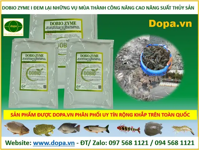 Men Tiêu Hóa Cho Cá