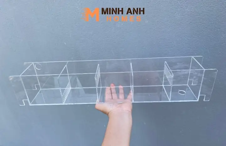 Vách Ngăn Hồ Cá Mica Là Gì?