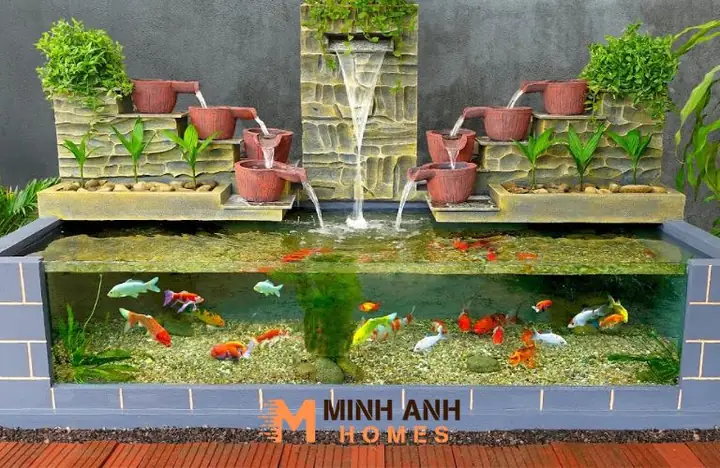 Trong Suốt, Giữ Nguyên Vẻ Đẹp Hồ Cá