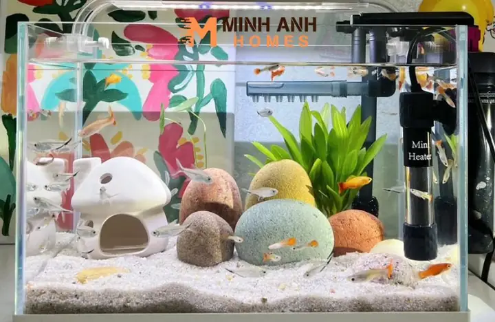 Ứng Dụng Vách Ngăn Hồ Cá Mica Trong Thực Tế