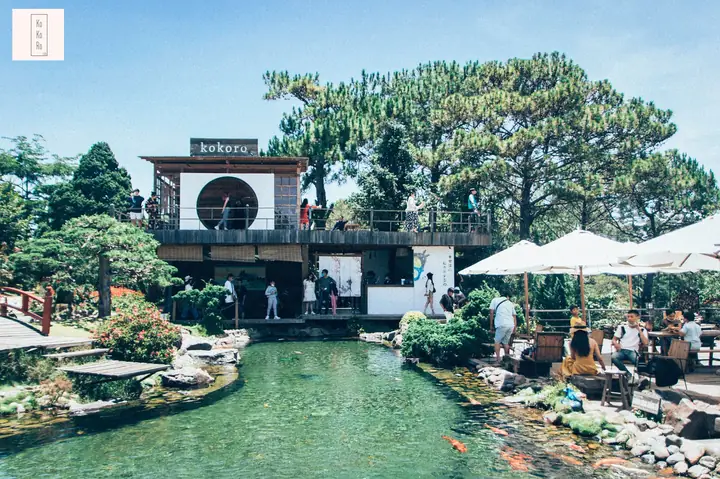 Top Những Quán Cafe Cá Koi Đẹp Nhất Tại Việt Nam