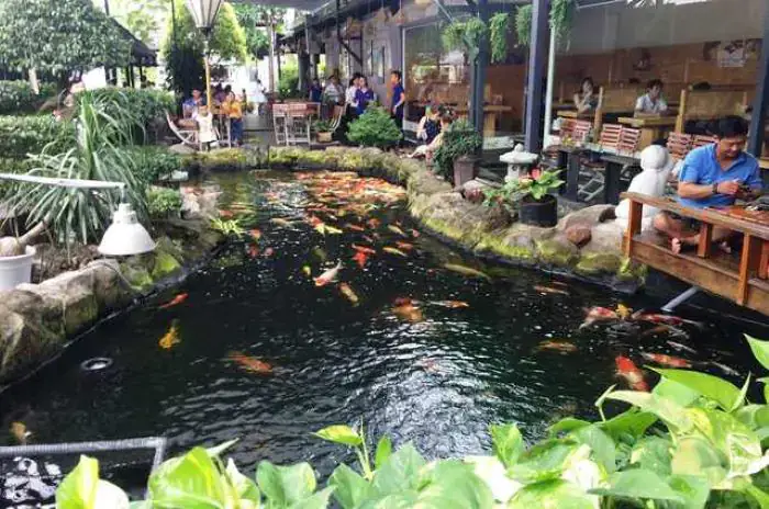 Một Số Mẫu Quán Cafe Cá Koi Đẹp Hút Hồn