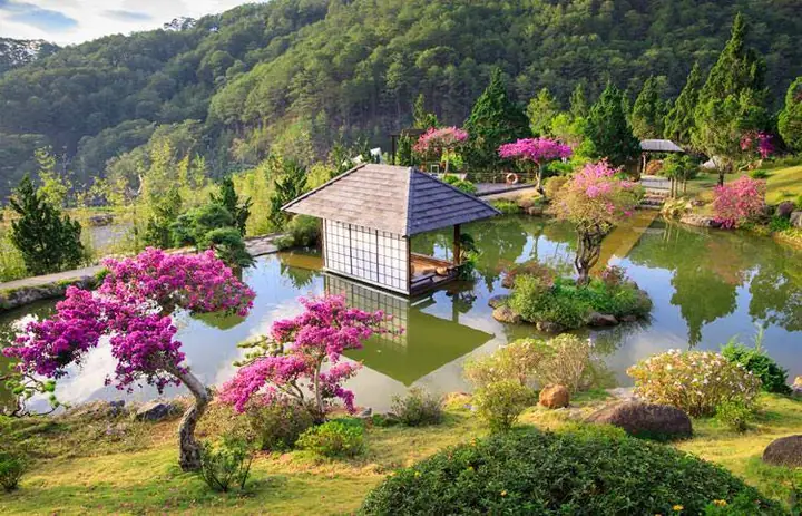 Top Những Quán Cafe Cá Koi Đẹp Nhất Tại Việt Nam