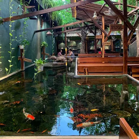 Top Những Quán Cafe Cá Koi Đẹp Nhất Tại Việt Nam