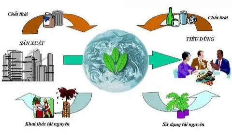 Ví Dụ Thực Tế Về Hành Động Bảo Vệ Môi Trường Xanh Sạch Đẹp