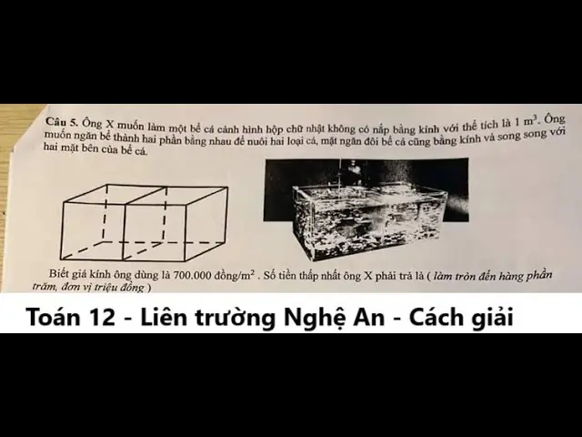 Bể Cá Cảnh Hình Hộp Chữ Nhật: Cách Tính Lượng Nước Và Thể Tích Chuẩn Xác