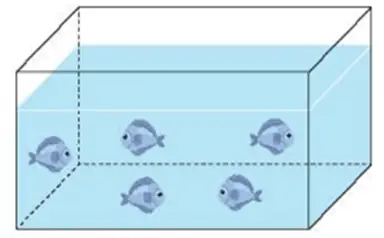 Giải Toán Lớp 5 Bài 75: Ôn Tập Chung - Kết Nối Tri Thức