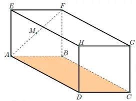 Một Bể Cá Dạng