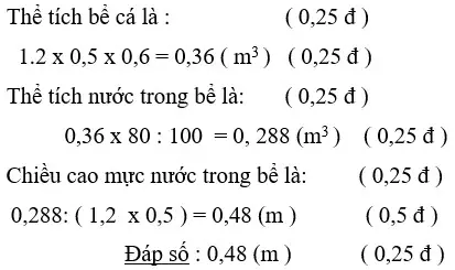 Hướng Dẫn Chi Tiết Làm Bể Kính Nuôi Cá Hình Hộp Chữ Nhật: Tính Toán Diện Tích, Thể Tích Và Mực Nước