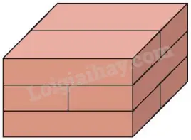 Một Bể Kính Nuôi Cá Dạng Hình Hộp Chữ Nhật