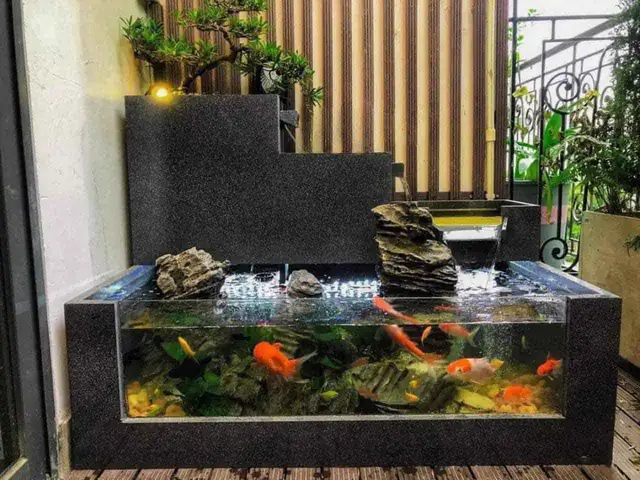Bể Cá Cảnh