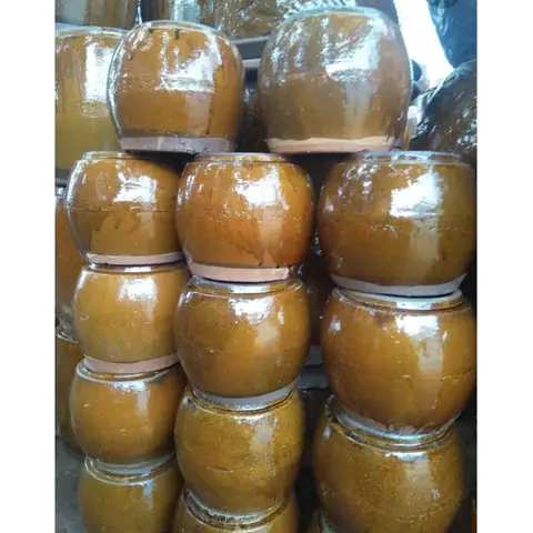 Không Gian Dưỡng Cá Betta Mái