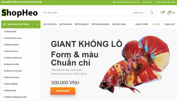 💝 Website Mua Bán Cá Cảnh: