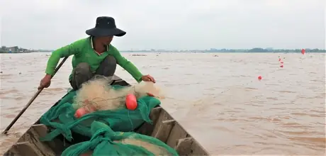 Ra Sông Mùa Cá Lòng Tong