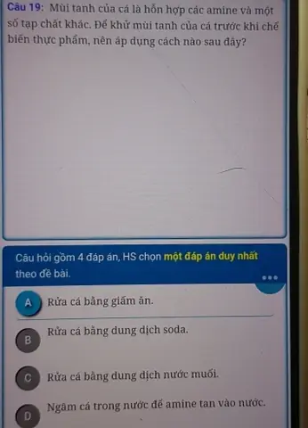 Cách Khử Mùi Tanh Cá Hiệu Quả: Hiểu Bản Chất Amin Để Chọn Phương Pháp Tối Ưu