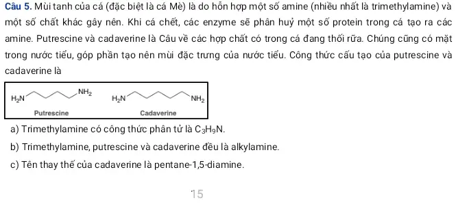 Cách Khử Mùi Tanh Cá Hiệu Quả: Hiểu Bản Chất Amin Để Chọn Phương Pháp Tối Ưu