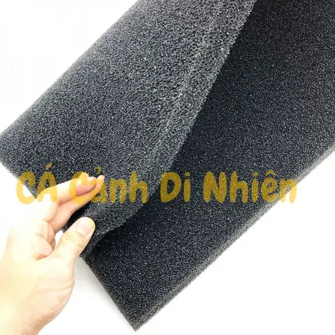 Mút Lọc Bể Cá: Hướng Dẫn Chọn Mua & Sử Dụng Hiệu Quả Cho Người Mới Bắt Đầu