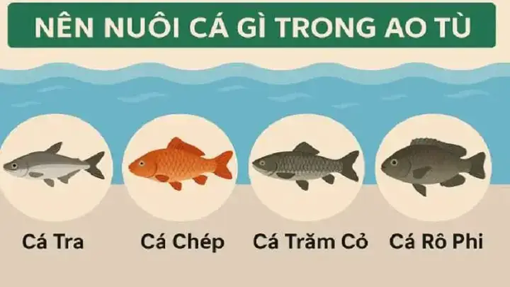 Nên Nuôi Cá Gì Trong Ao Tù: Hướng Dẫn Toàn Diện Cho Người Mới Bắt Đầu Nên Nuôi Cá Gì Trong Ao Tù: Hướng Dẫn Toàn Diện Cho Người Mới Bắt Đầu