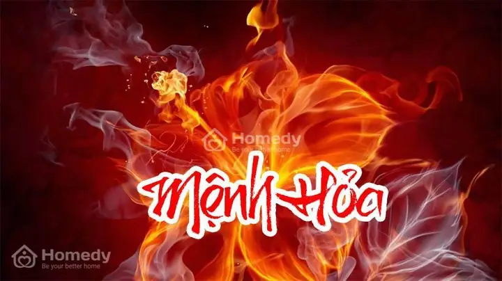 Tổng Quan Về Người Mệnh Hỏa