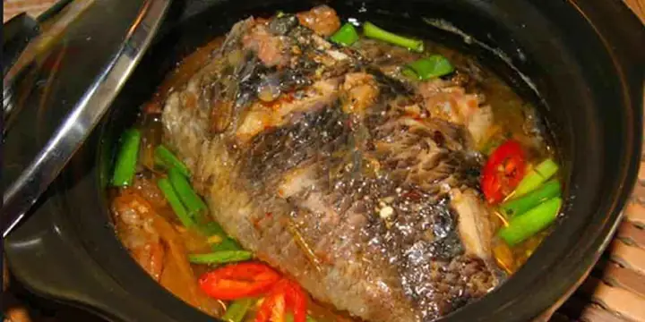 Tốt Cho Não