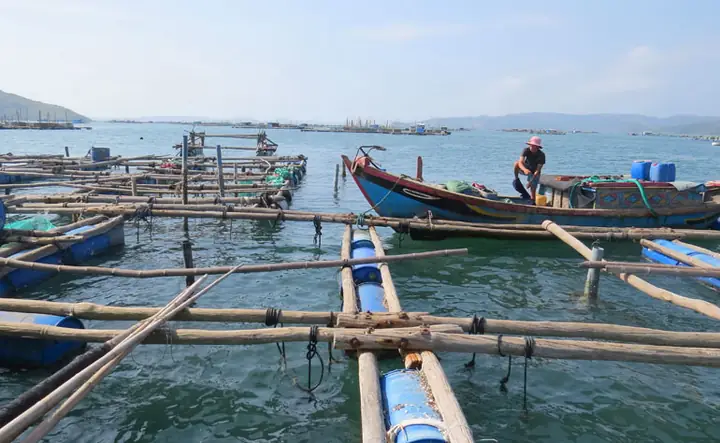 Thực Trạng Nhà Bè Nổi Trên Biển Thực Trạng Nhà Bè Nổi Trên Biển
