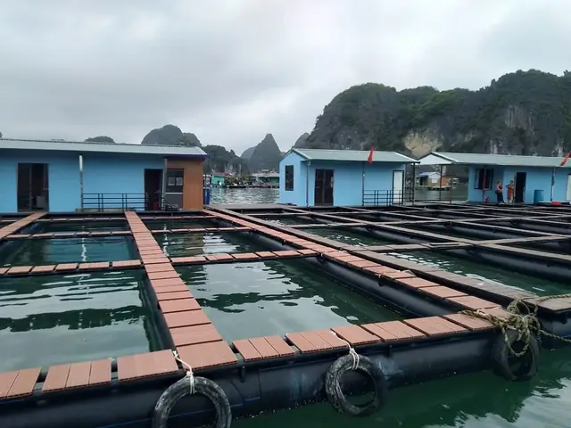 Hình Ảnh Thực Tế Nhà Bè Trên Biển Của Super Trường Phát Hình Ảnh Thực Tế Nhà Bè Trên Biển Của Super Trường Phát