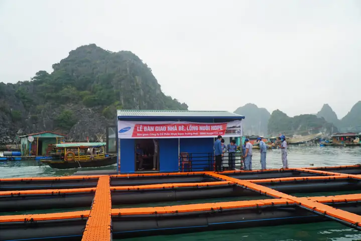 Ý Nghĩa Của Triển Khai Nhà Bè Bằng Vật Liệu Bền Vững Ý Nghĩa Của Triển Khai Nhà Bè Bằng Vật Liệu Bền Vững