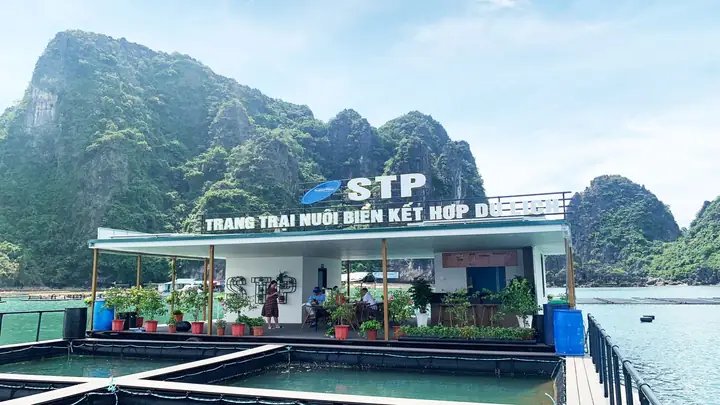Hình Ảnh Thực Tế Nhà Bè Trên Biển Của Super Trường Phát