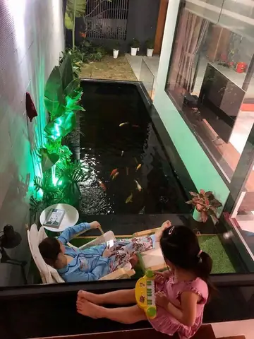 Hồ Cá Giúp Cải Thiện Chất Lượng, Làm Mát Không Khí