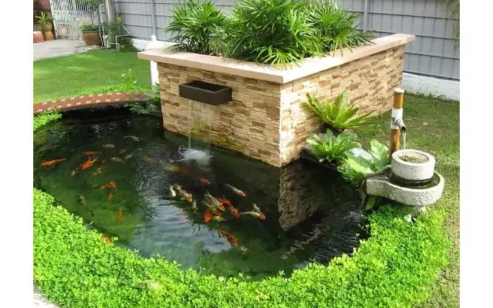 Các Phương Án Hoá Giải Phong Thuỷ Ao Cá Trong Vườn