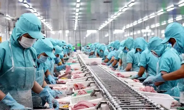 Doanh Thu Xuất Khẩu Tháng 12 Của "nữ Hoàng Cá Tra" Vĩnh Hoàn (vhc) Giảm Sâu - Ảnh 1.