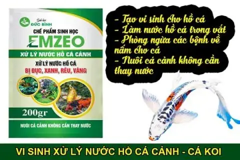 Công Dụng Của Vi Sinh Xử Lý Nước Hồ Cá Emzeo