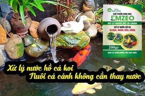 Cơ Chế Xử Lý Nước Hồ Cá Cảnh Của Sản Phẩm