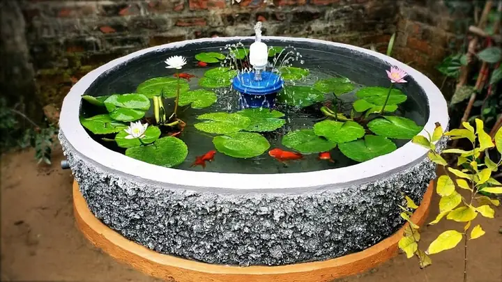 Nuôi Cá 7 Màu Ngoài Trời: Hướng Dẫn Chi Tiết Từ A Đến Z