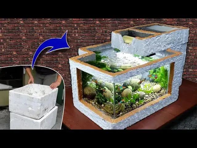 Chuẩn Bị Gì Để Nuôi Cá Ba Đuôi Trong Thùng Xốp?