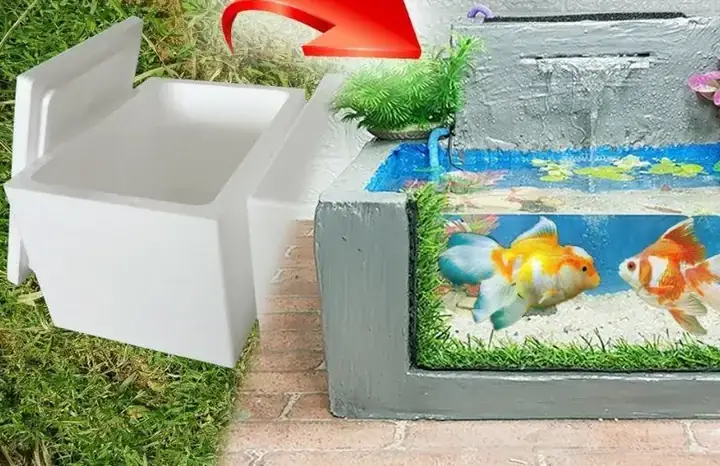 Tại Sao Nên Nuôi Cá Ba Đuôi Trong Thùng Xốp?