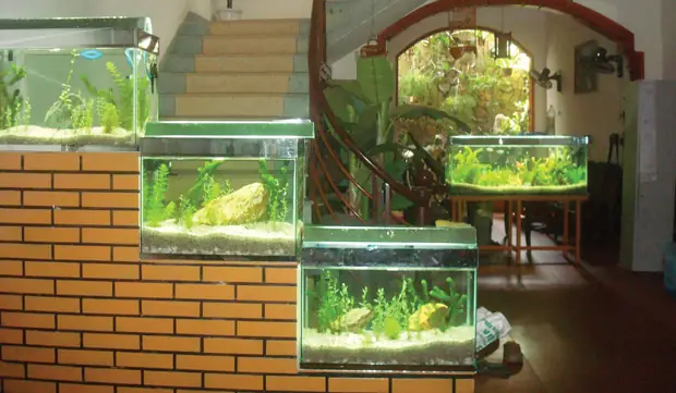 Sưởi Bể Cá