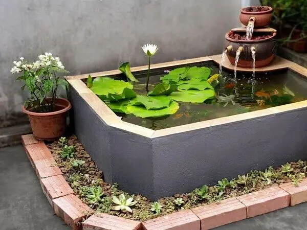 Hồ Cá Ngoài Trời