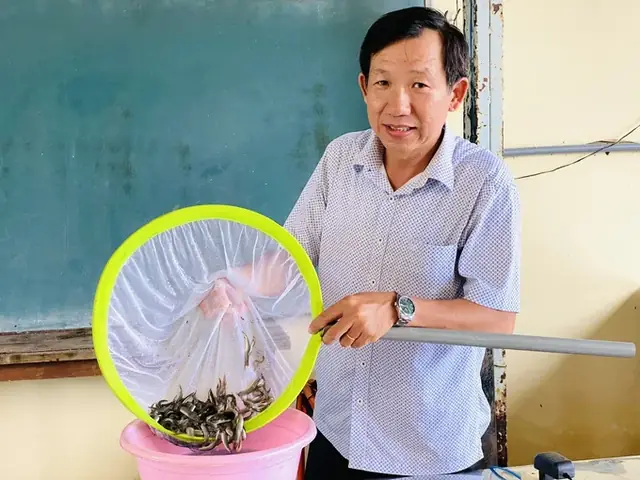 Sinh Sản Nhân Tạo Thành Công Cá Chạch Sông