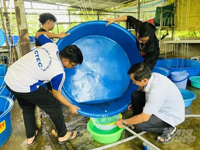 Sinh Sản Nhân Tạo Thành Công Cá Chạch Sông