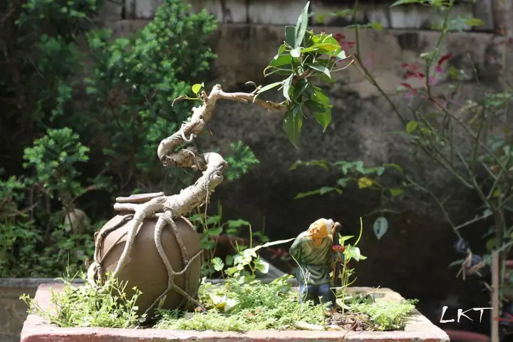 Thứ Ba, Nuôi Cây Dưỡng Thần