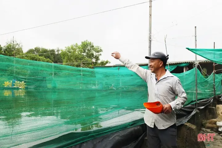 (baohatinh.vn) - Sau 4 Năm Triển Khai Nuôi Cá Lóc Trong Bể Xi Măng, Anh Nguyễn Văn Nguyên (sn 1976, Ở Thôn Bàu Am, Xã Lưu Vĩnh Sơn, Huyện Thạch Hà, Hà Tĩnh) Đánh Giá: Mô Hình Có Nhiều Ưu Điểm Như Cá Ít Nhiễm Bệnh, Dễ Chăm Sóc, Hiệu Quả Kinh Tế Cao...