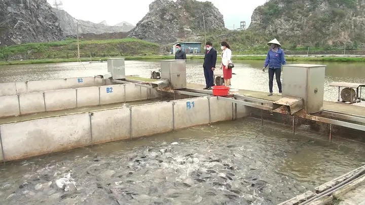 Cải Tạo Ao Nuôi