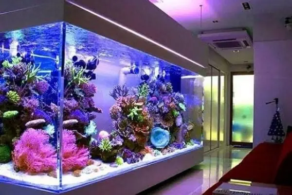 Cách Đặt Hồ Cá Phong Thủy