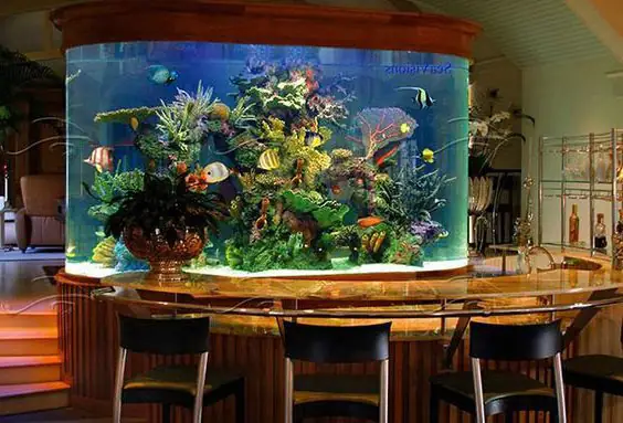 Đặt Bể Cá Hợp Mệnh
